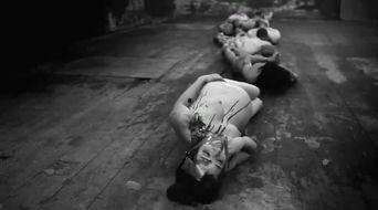 人体蜈蚣4手机在线观看,手机在线惊悚之旅  第1张